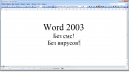 Word 2003 - скриншот N3
